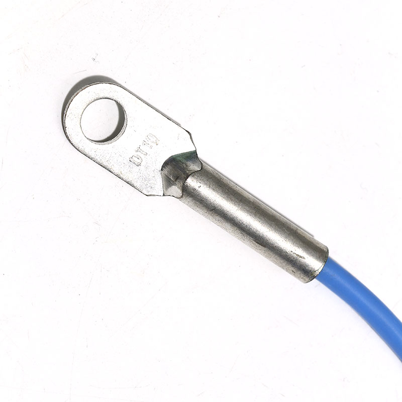 Ds18B20 Temperature Sensor - DS18B20 Speciaal Voor Oppervlaktetemperatuursensor Sonde 8mm